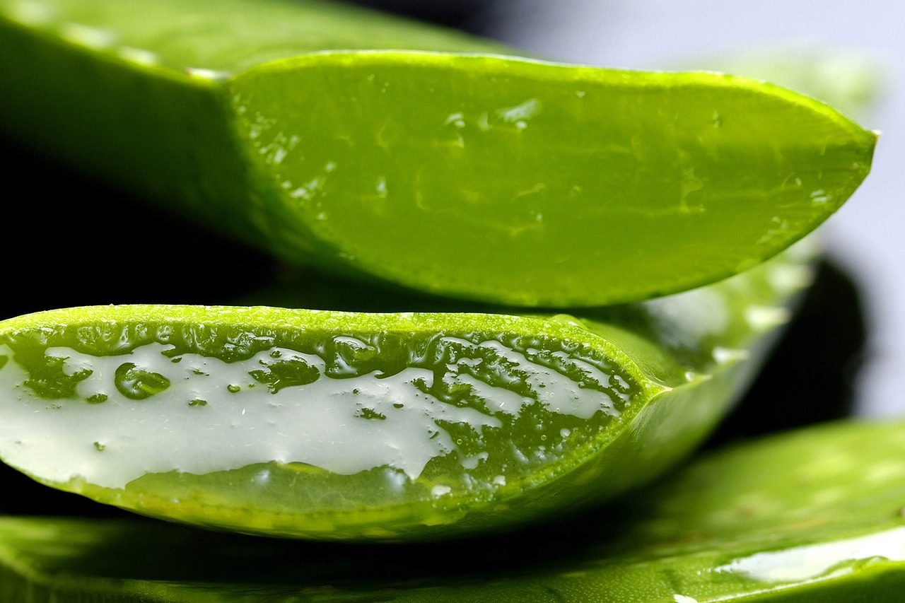 ALOE VERA, SECRETS and HEALTH BENEFITS