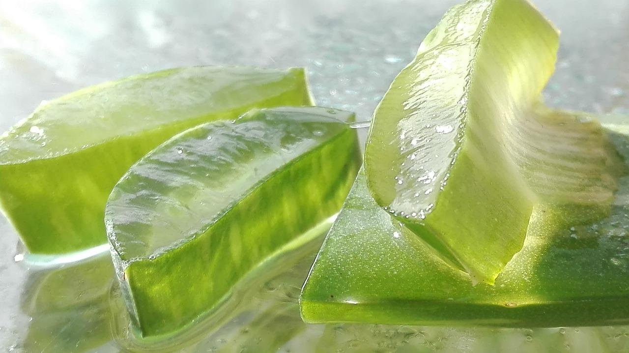 ALOE VERA, SECRETOS y Beneficios para la SALUD | NOTICIAS, CURIOSIDADES, DESPABILATE HOY MUNDO