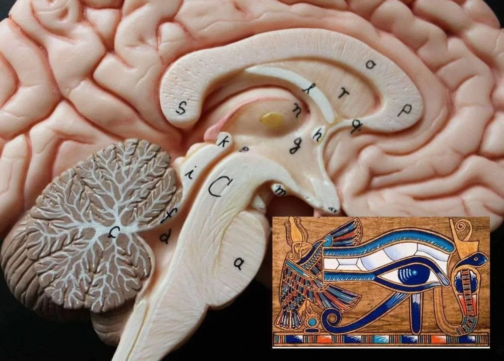 OJO DE HORUS, La Glándula Pineal mal usada para mensajes