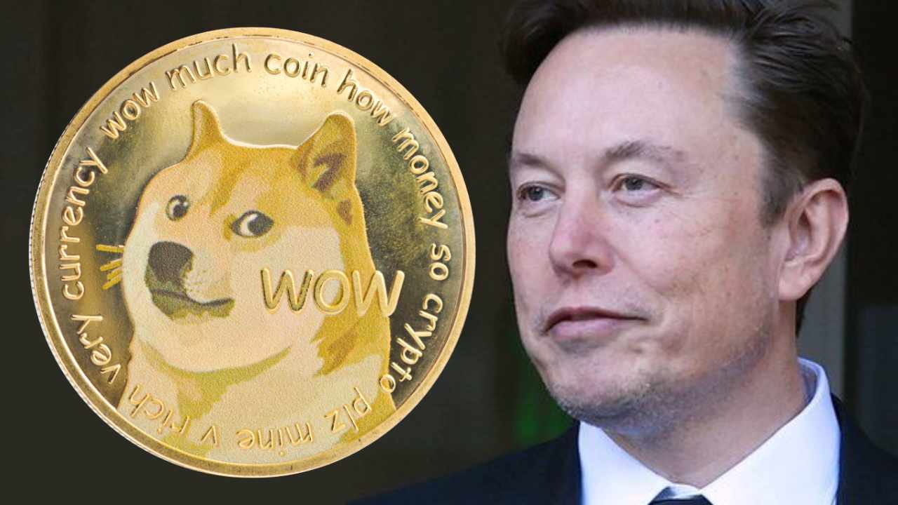 Elon Musk busca poner fin a la demanda de 258 mil millones de Dogecoin