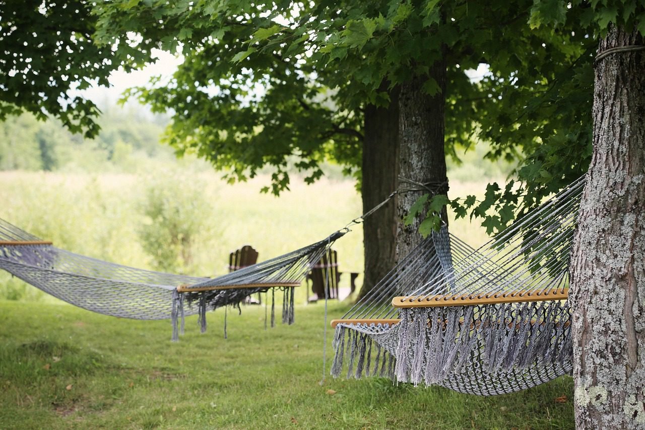 Meditación para Dormir: Encuentra la Paz y el Descanso Profundo | NOTICIAS, CURIOSIDADES, DESPABILATE HOY MUNDO