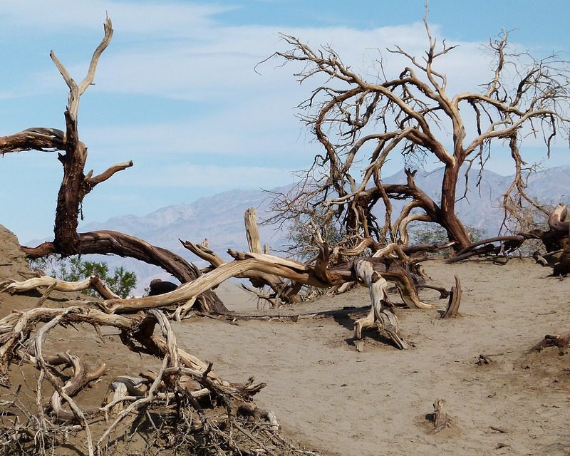 La muerte no existe: una reflexión sobre la vida y la existencia