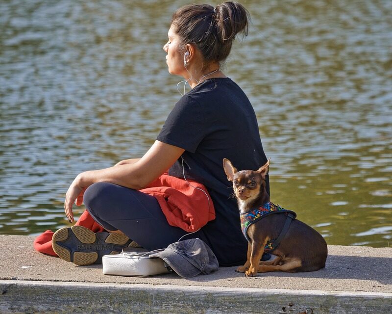 LEY DE ATRACCION, MEDITACION