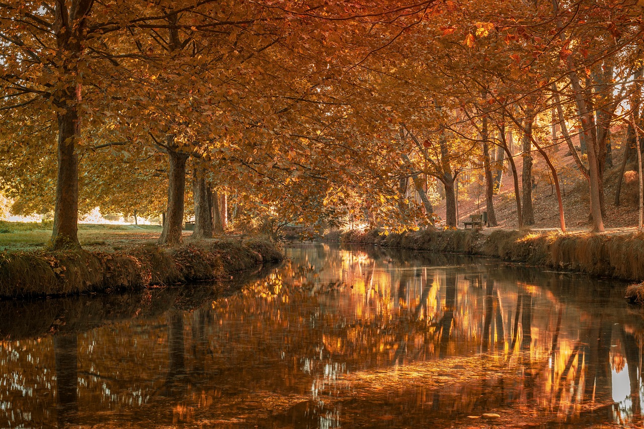 Imagen relacionada con 963HZ, LIMPIA EL AURA Y EL ESPACIO, ABRE TODAS LAS PUERTAS DE LA BUENA SUERTE Y LA PLENITUD