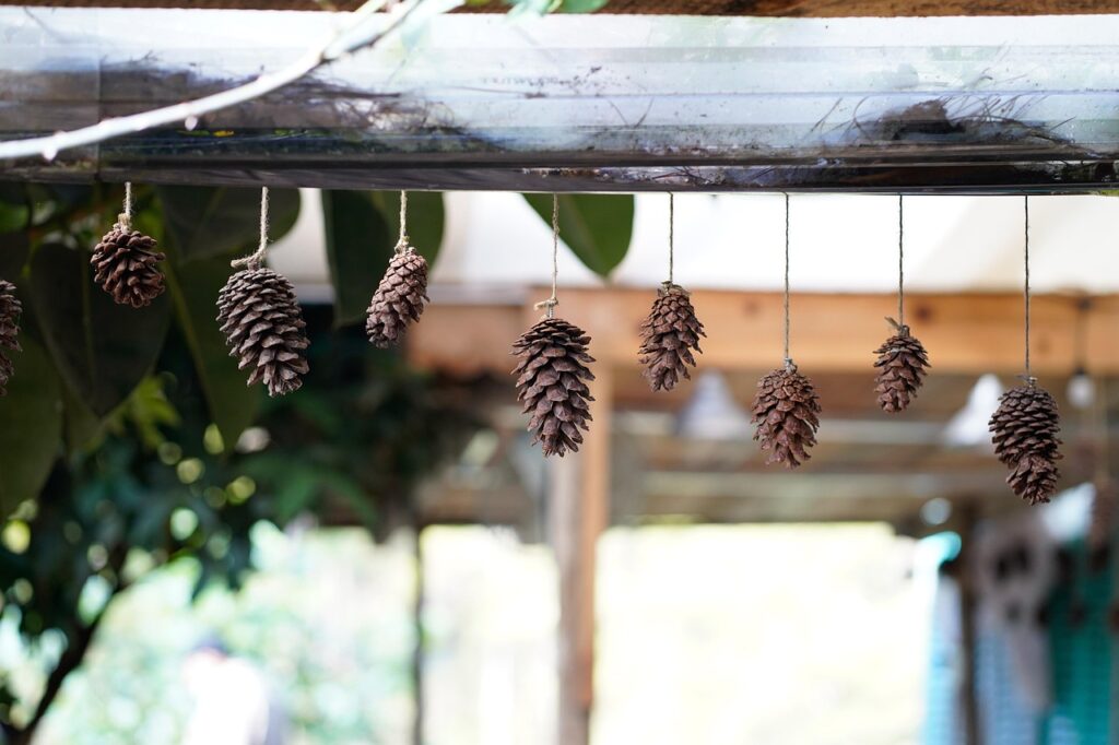 Imagen relacionada con Activación y descalcificación de la glándula pineal