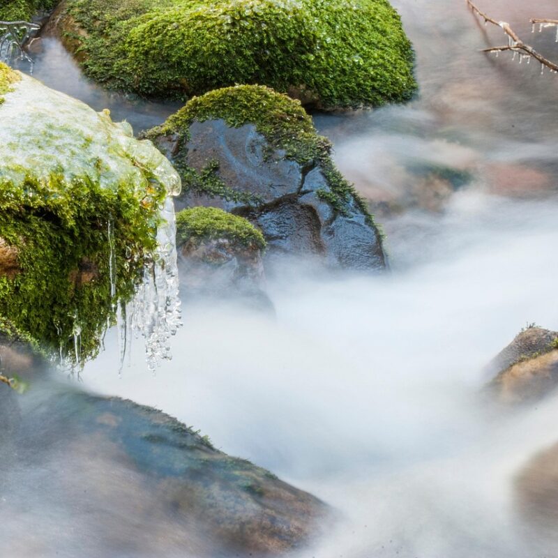 Imagen relacionada con ANTARTIDA: Los Guardianes Del Muro De Hielo: ¿Ya Están Entre Nosotros?