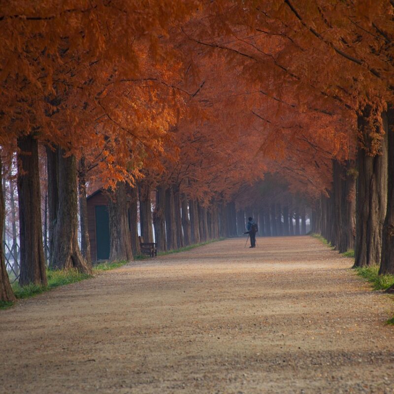 Imagen relacionada con Cómo Dejar de Procrastinar HOY: La Técnica Que Funciona en Menos de 5 Minutos