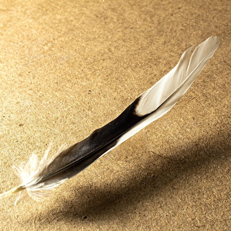 Imagen relacionada con El simbolismo espiritual de soñar con volar y su mensaje oculto