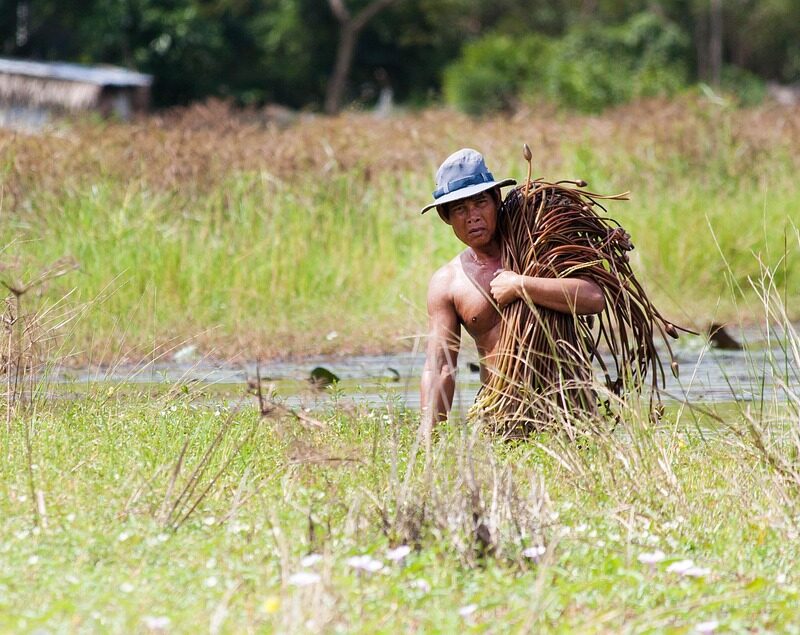 Imagen relacionada con La PSICOLOGIA del CORRUPTO permite convencerte que VIVIR EN LA MISERIA es aceptable