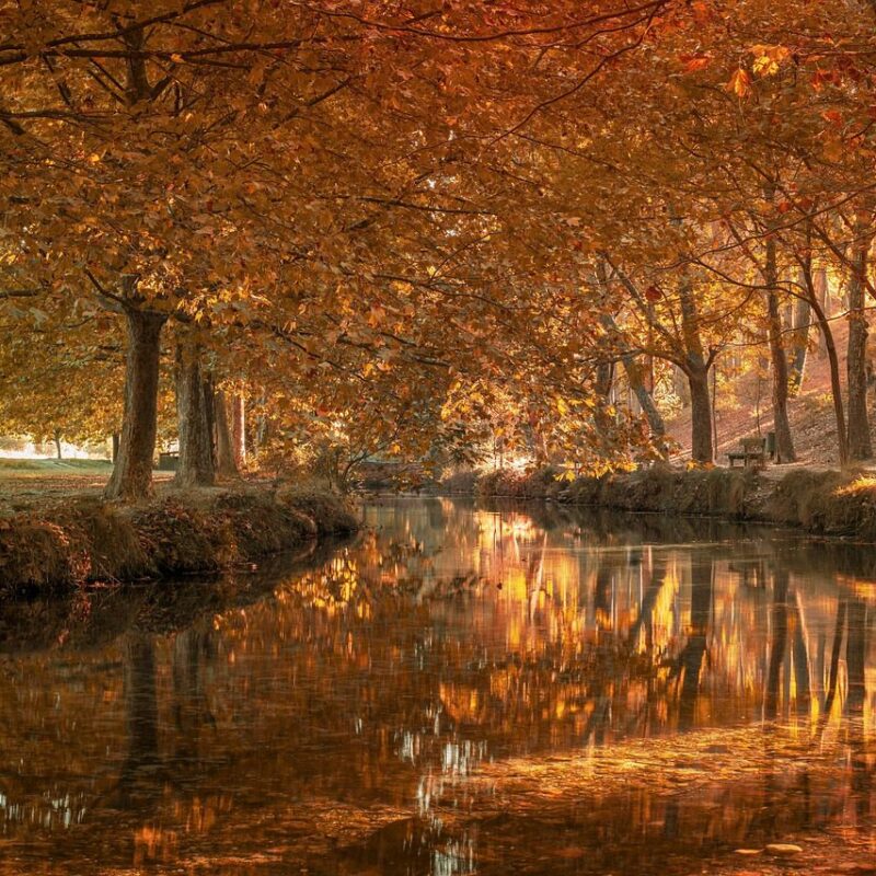 Imagen relacionada con Ley de la atracción, manifestación: cómo atraer lo que deseas con pensamientos, visualizaciones, afirmaciones.