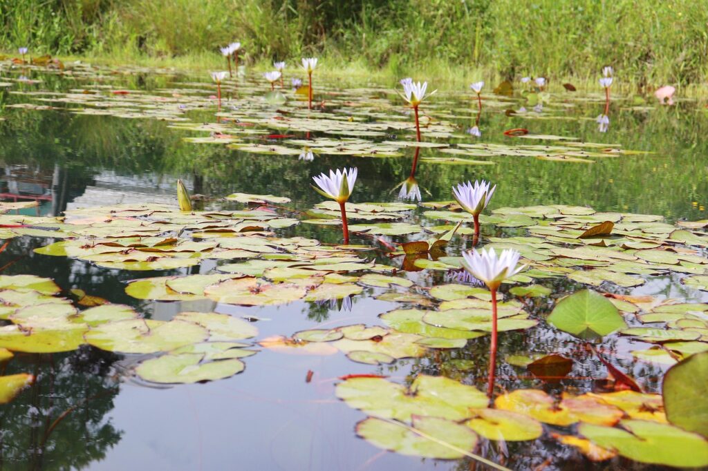 Imagen relacionada con VIAJES ASTRALES, técnicas