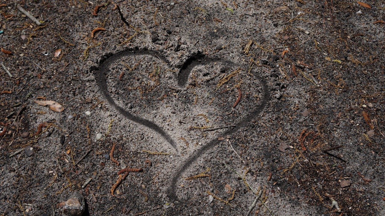 Imagen relacionada con 1111: Código para abrirse a nuevas oportunidades - Guía Agesta