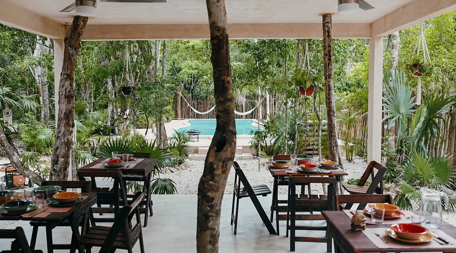 Lunita Jungle Retreat Center, Riviera Maya, Un retiro en la selva maya, cerca de Cancún