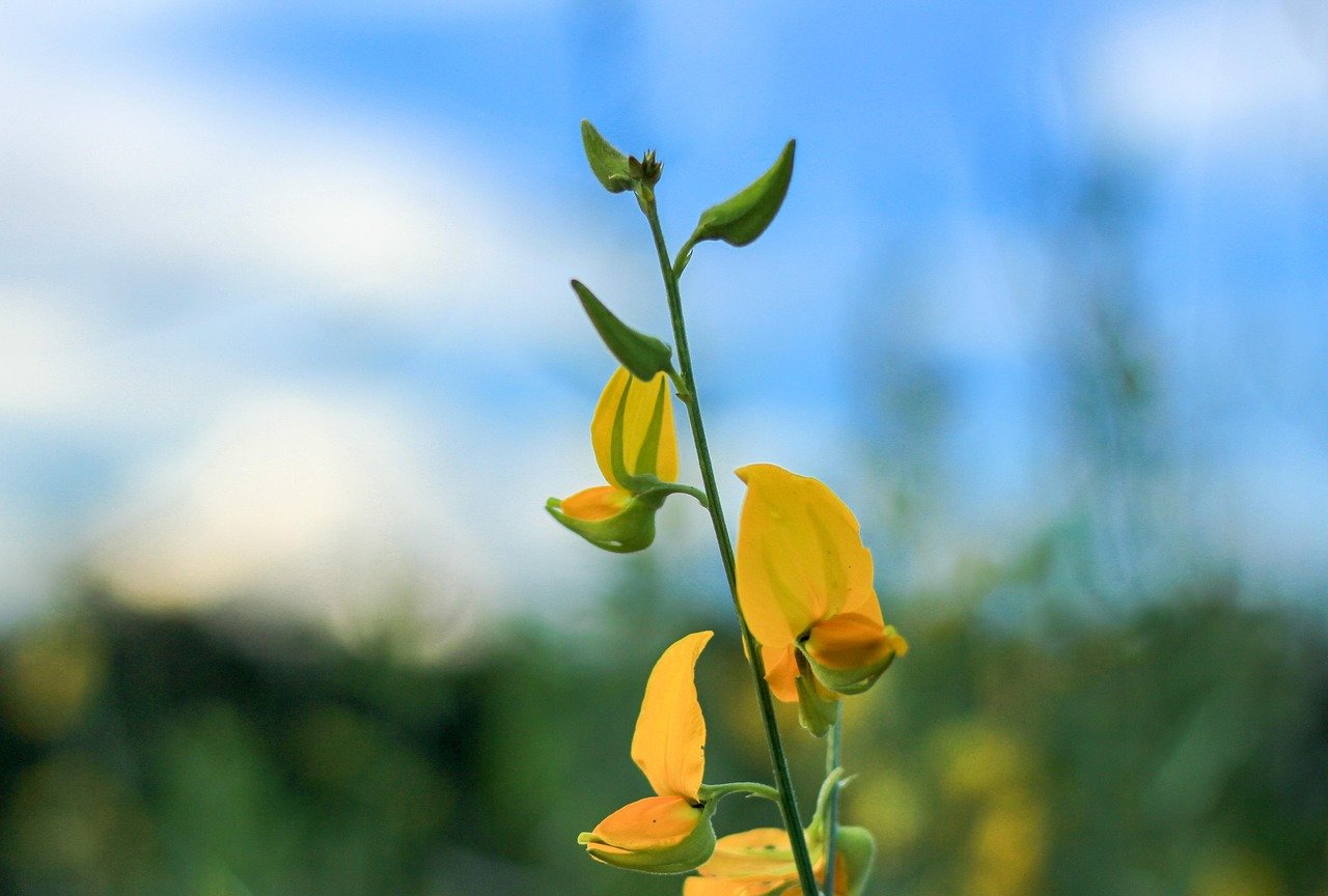 Imagen relacionada con ¿Cómo elevar la vibración en 5 minutos?