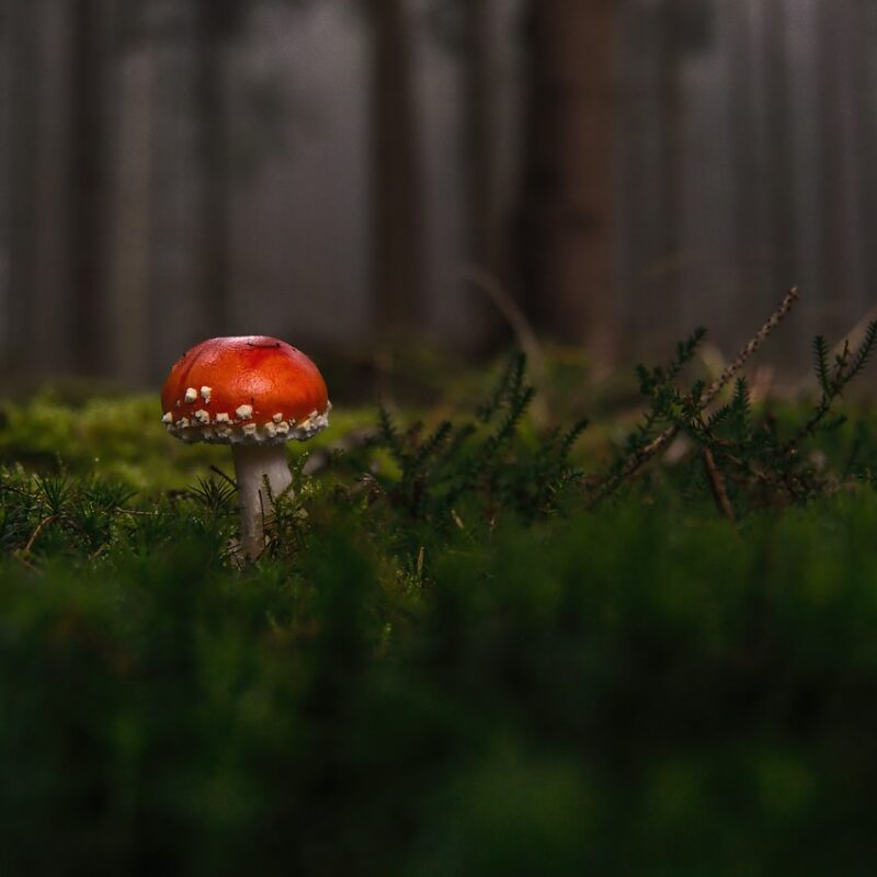 Imagen relacionada con Cómo Identificar y Romper un Vínculo Energético Tóxico con Alguien