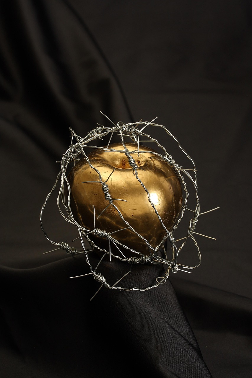 Imagen relacionada con Meditación PROHIBIDA: cómo usar tu energía para atraer lo que realmente querés