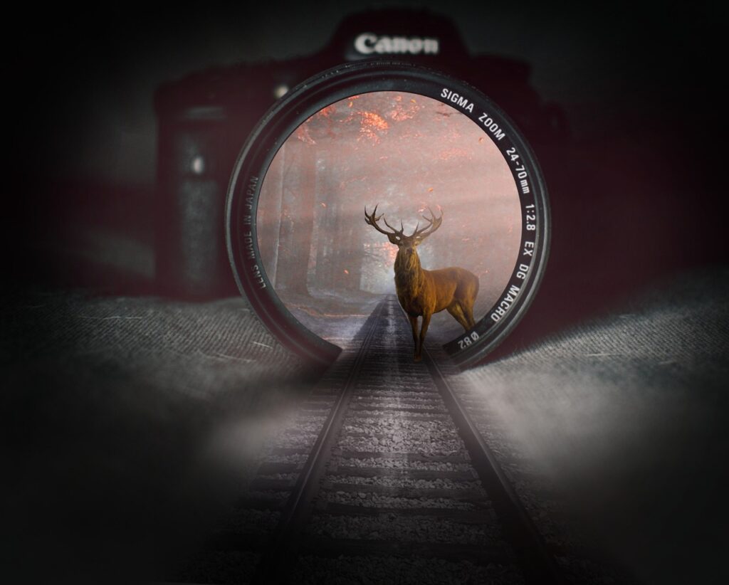 Imagen relacionada con ¿Portales energéticos en sitios antiguos? Lo que cuentan guías locales y lo que dice la física