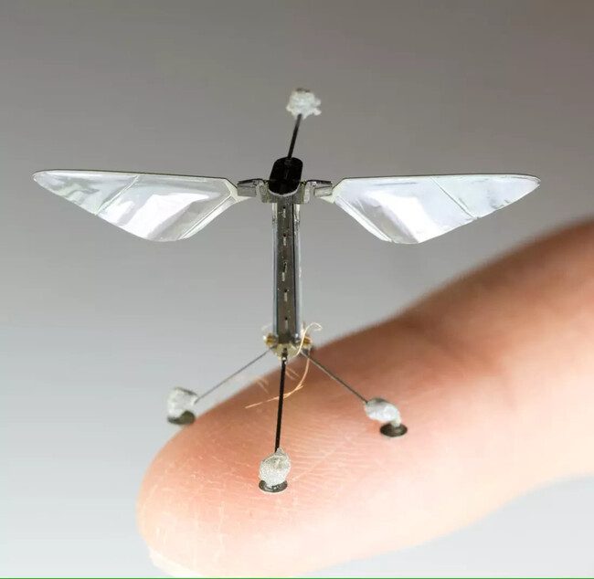 China creó un dron del tamaño de un mosquito, alerta