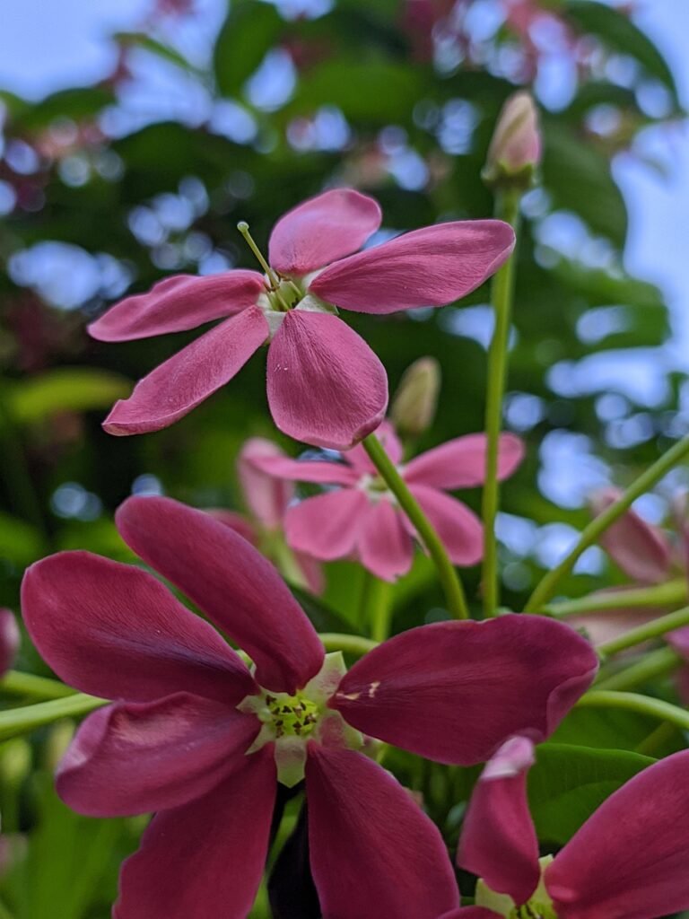 Imagen relacionada con Beneficios principales de conectar con la naturaleza