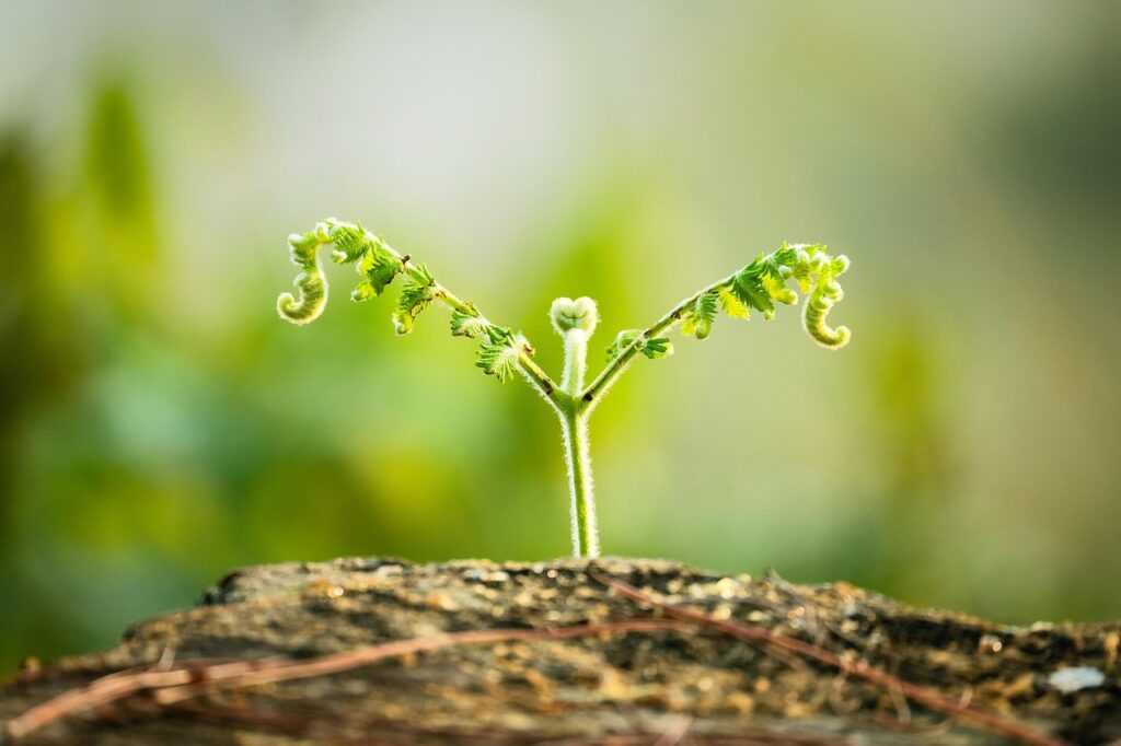 Imagen relacionada con Rompiendo Barreras: Liberándote de Frenos y Limitaciones 2026