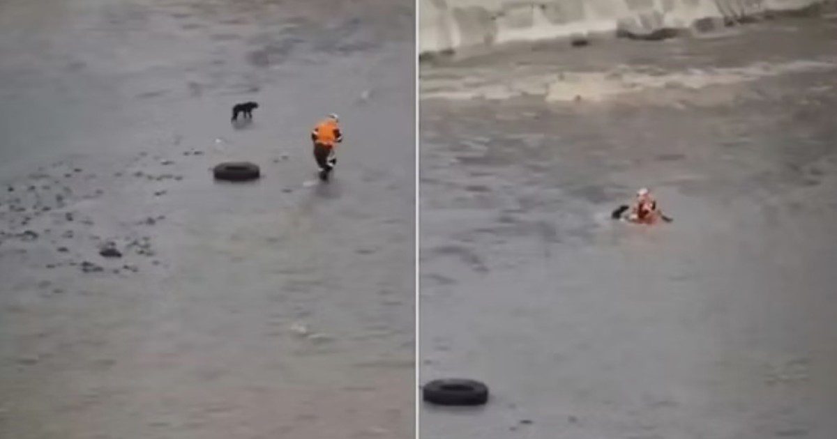 8n4glKiGS 1200x630 1