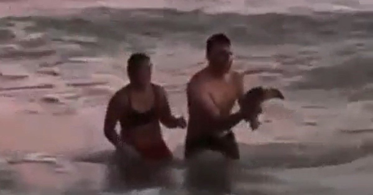 GqEEwV6pB 1200x630 1