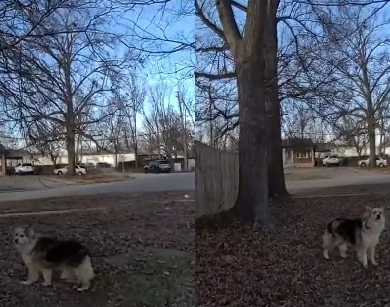 VN5KlFDBp 1200x630 1