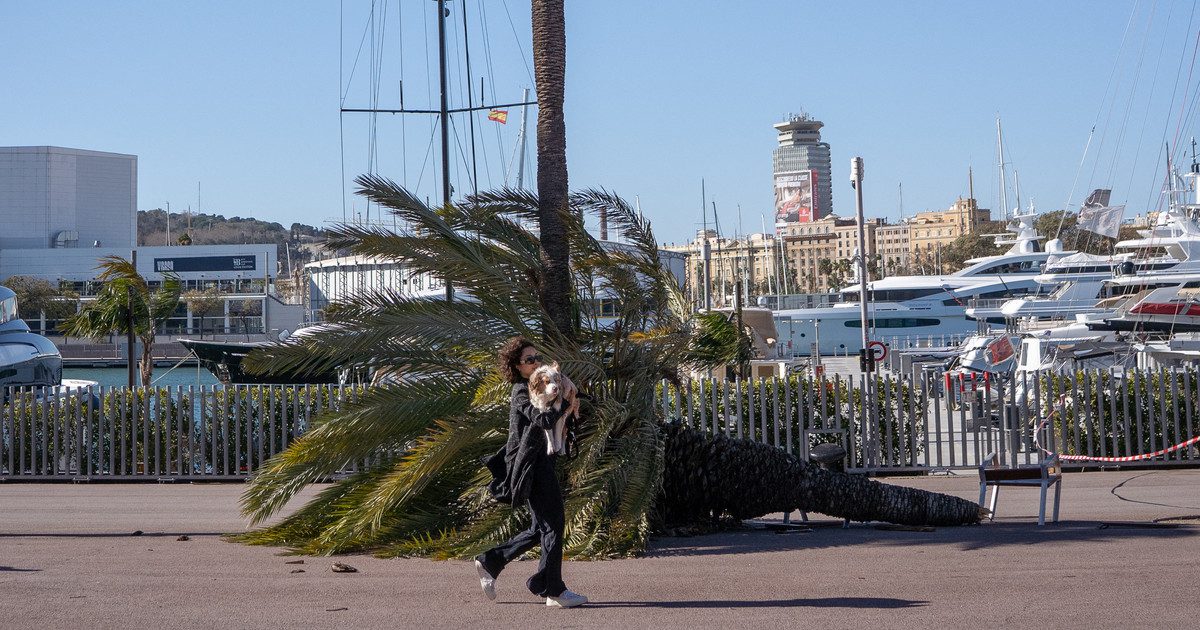 ajs0SMKtC 1200x630 1