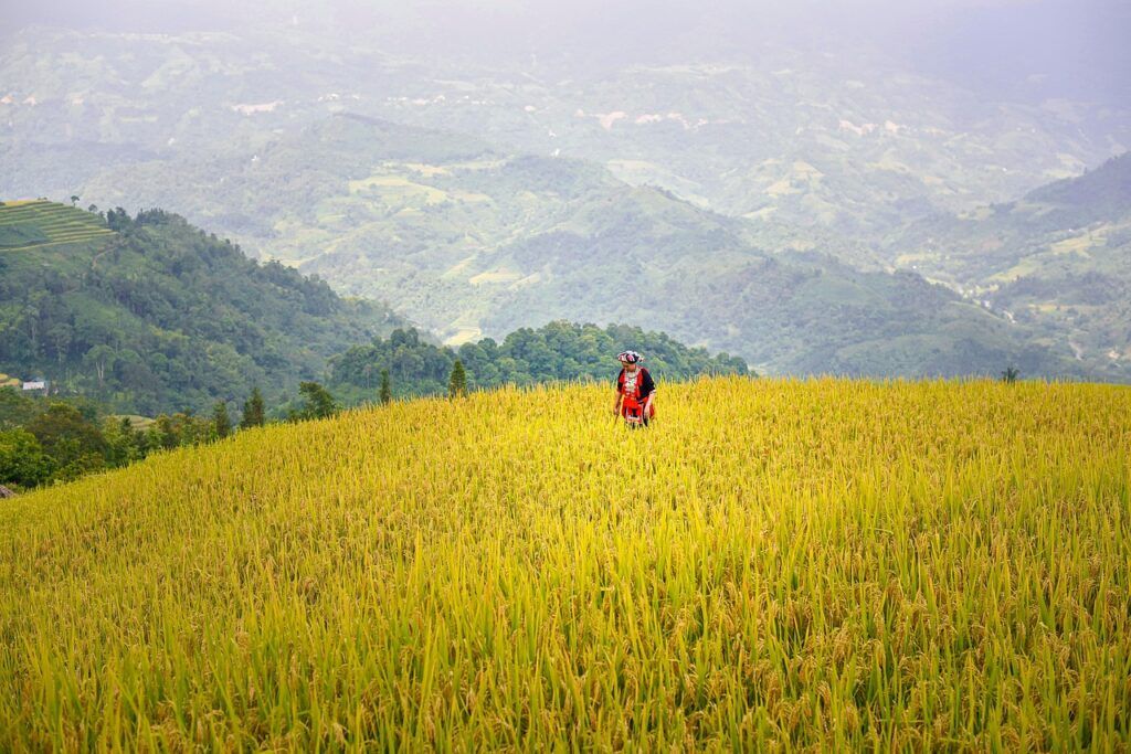 Imagen relacionada con Limpieza energética del hogar, Cómo Limpiar Tu Casa Energéticamente y Elevar Su Vibración