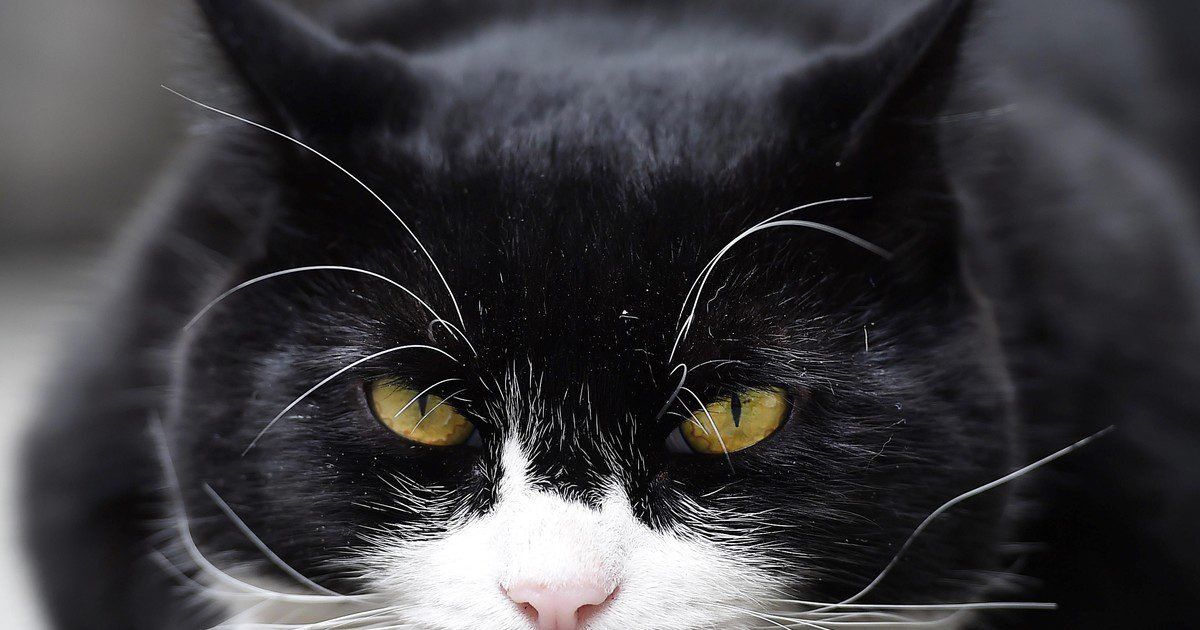 p8q2R ujm 1200x630 1