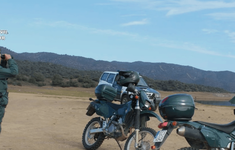 seprona imagen archivo U01145220276UWs 1024x512@diario abc