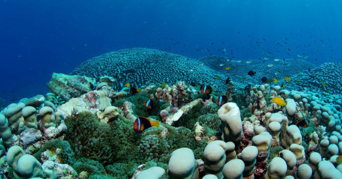 zteToAY28 1200x630 1