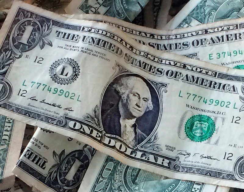 zwkDYsaur 1200x630 1