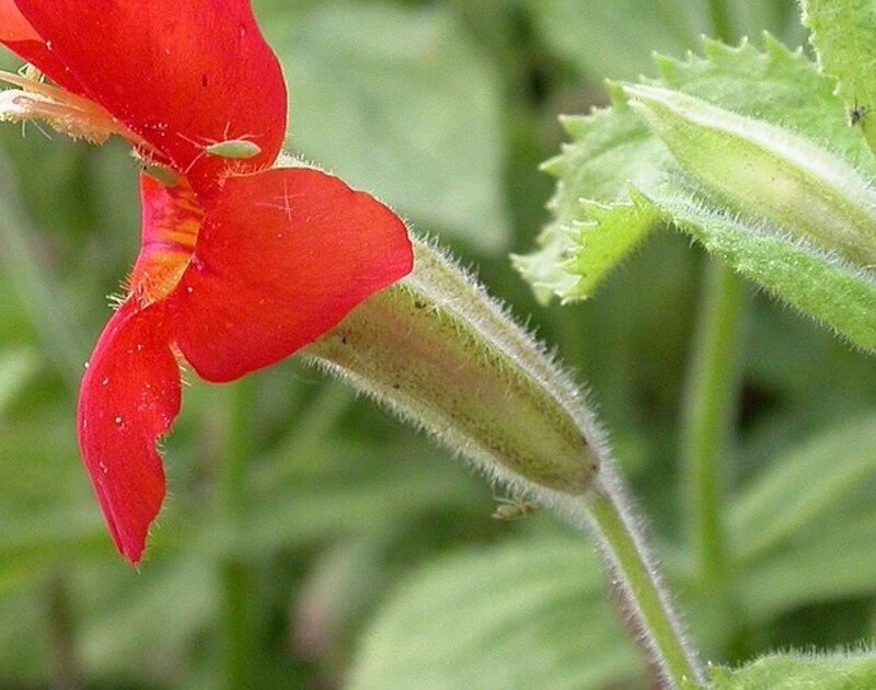 4J8ltCl2T 1200x630 1