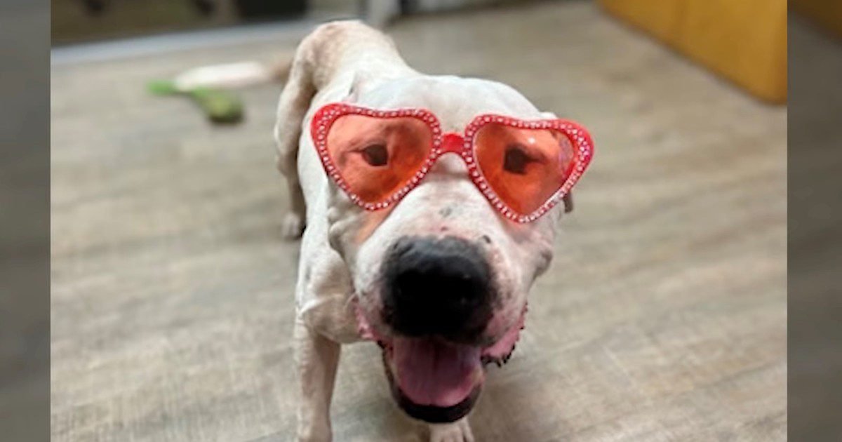 7SAAENVTN 1200x630 1