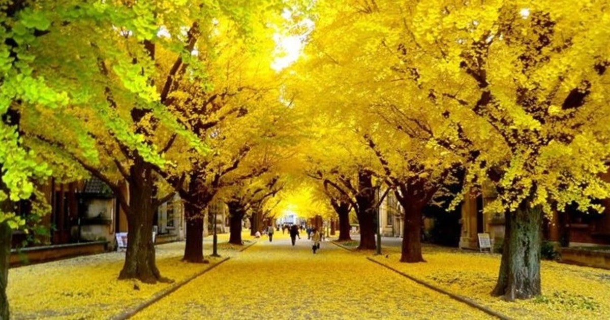 F6H9wRjOG 1200x630 1