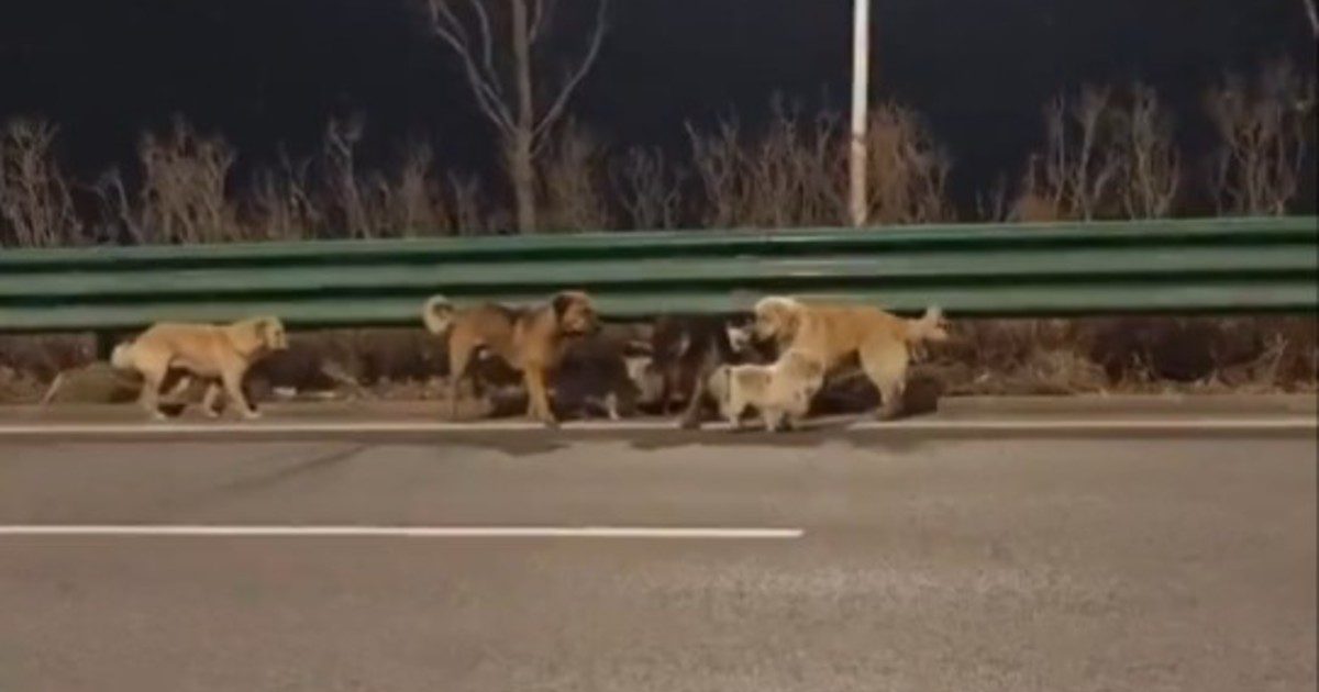 GHNUJgWMt 1200x630 1