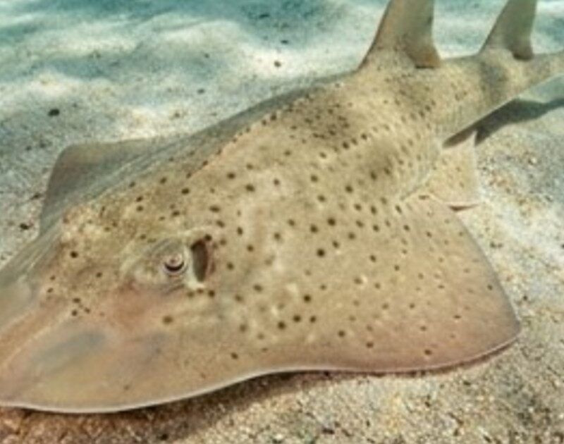 HdZpvTyME 1200x630 1