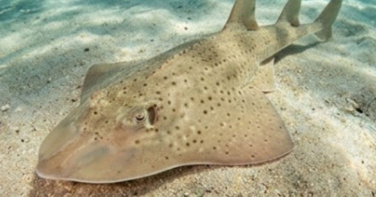 HdZpvTyME 1200x630 1