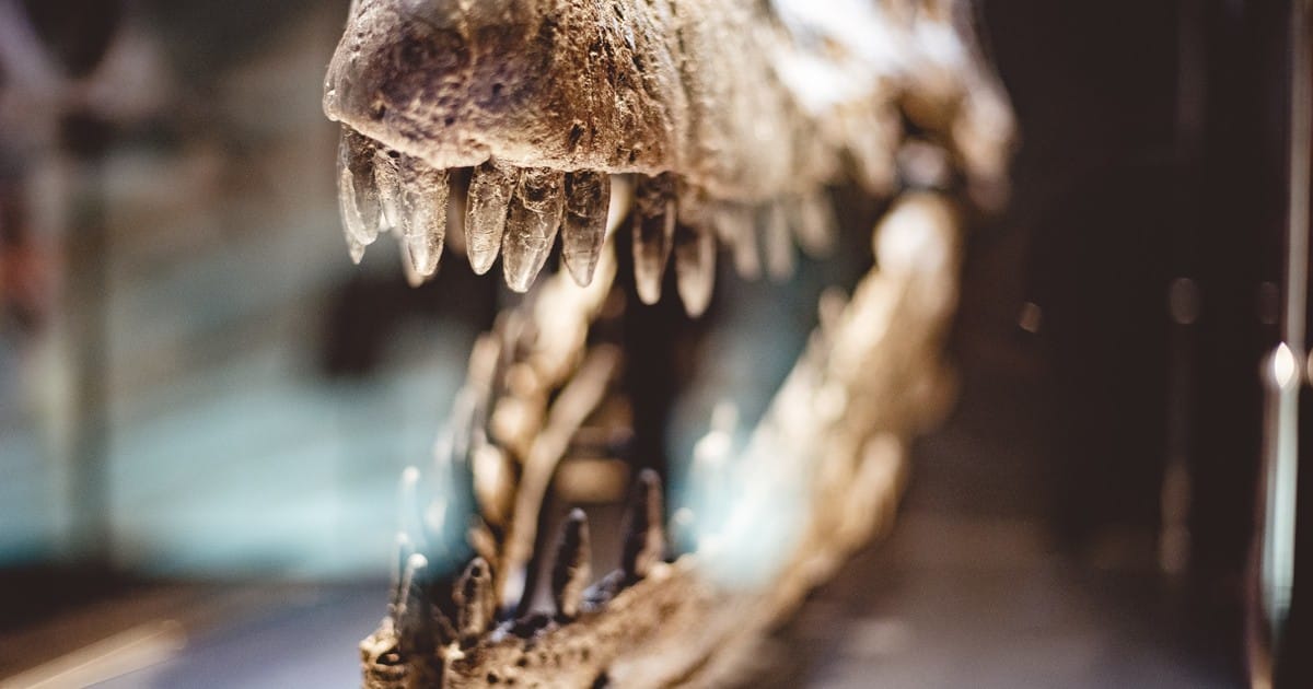 Q15b PzjW 1200x630 1