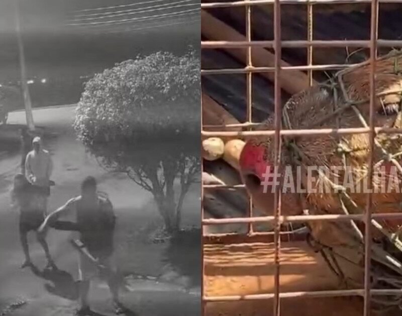 Qq1Bo26NW 1200x630 1