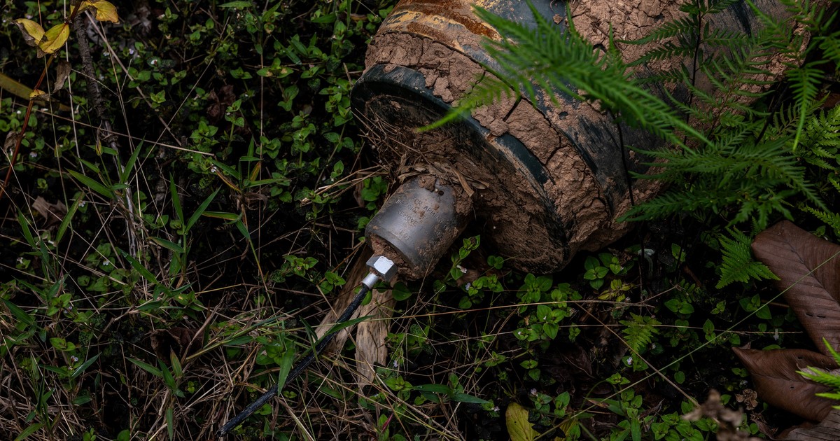 SDCkDqnvS 1200x630 1