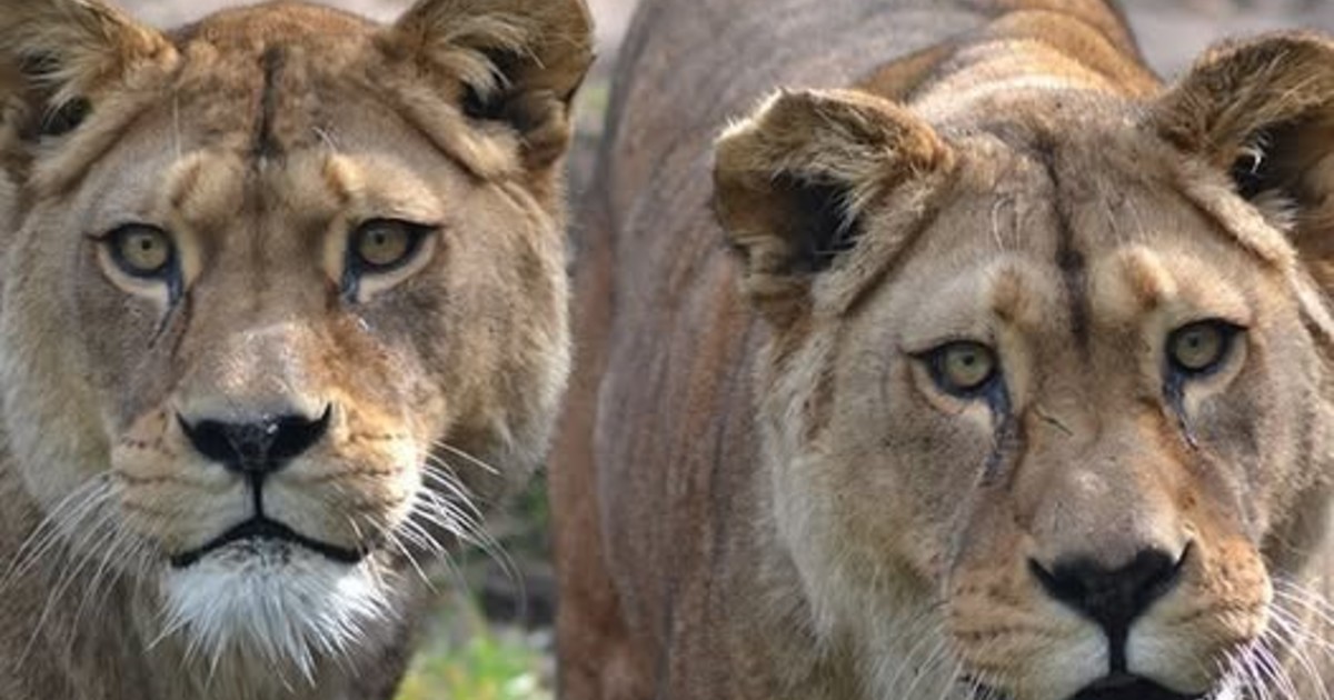 Zk4i6HXP9 1200x630 1