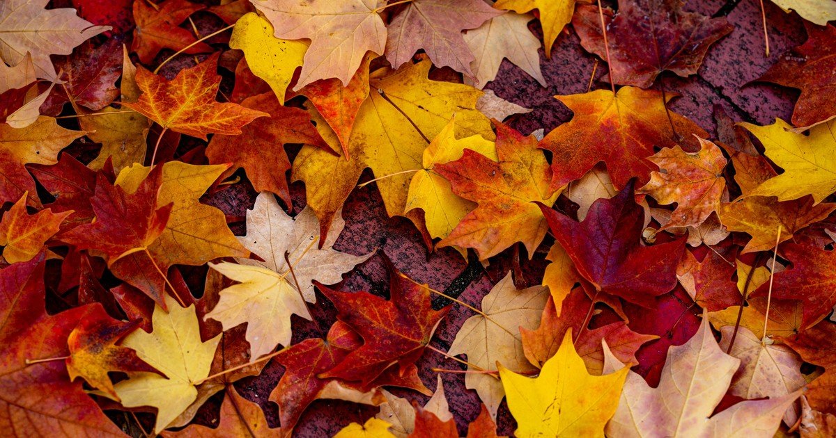 b Xtemlgp 1200x630 1