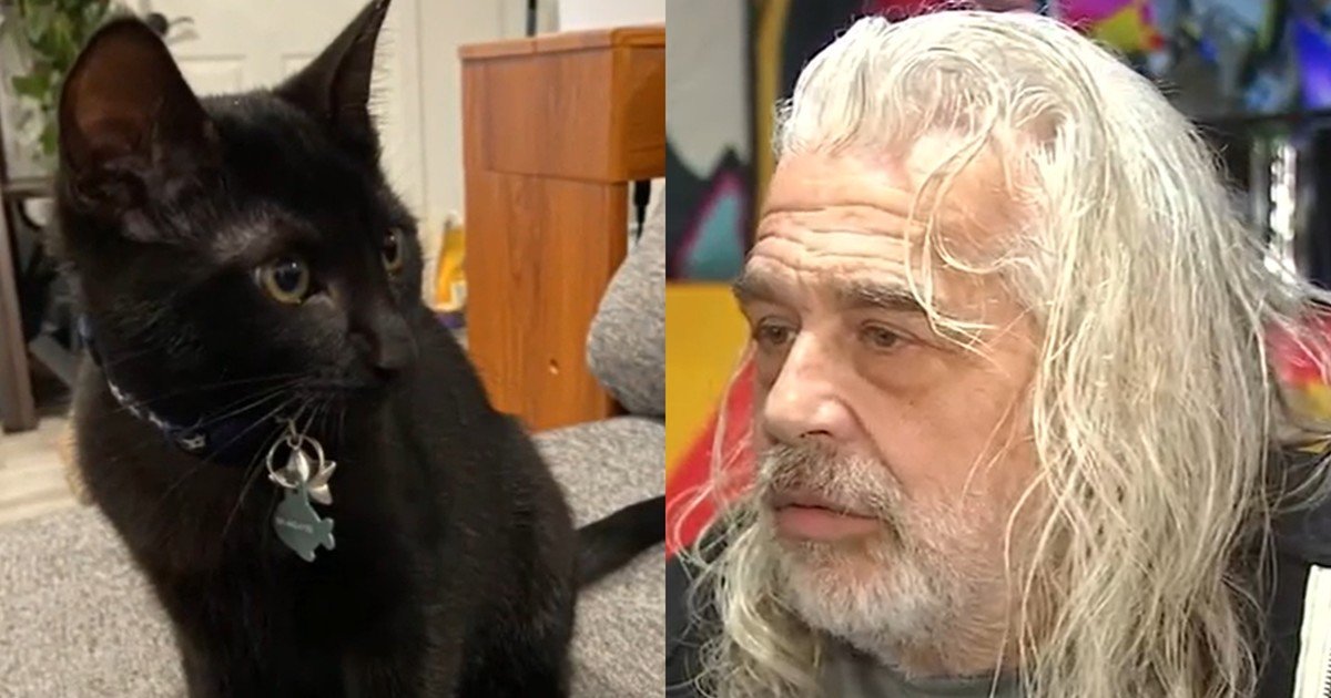 cWFTh PRf 1200x630 1