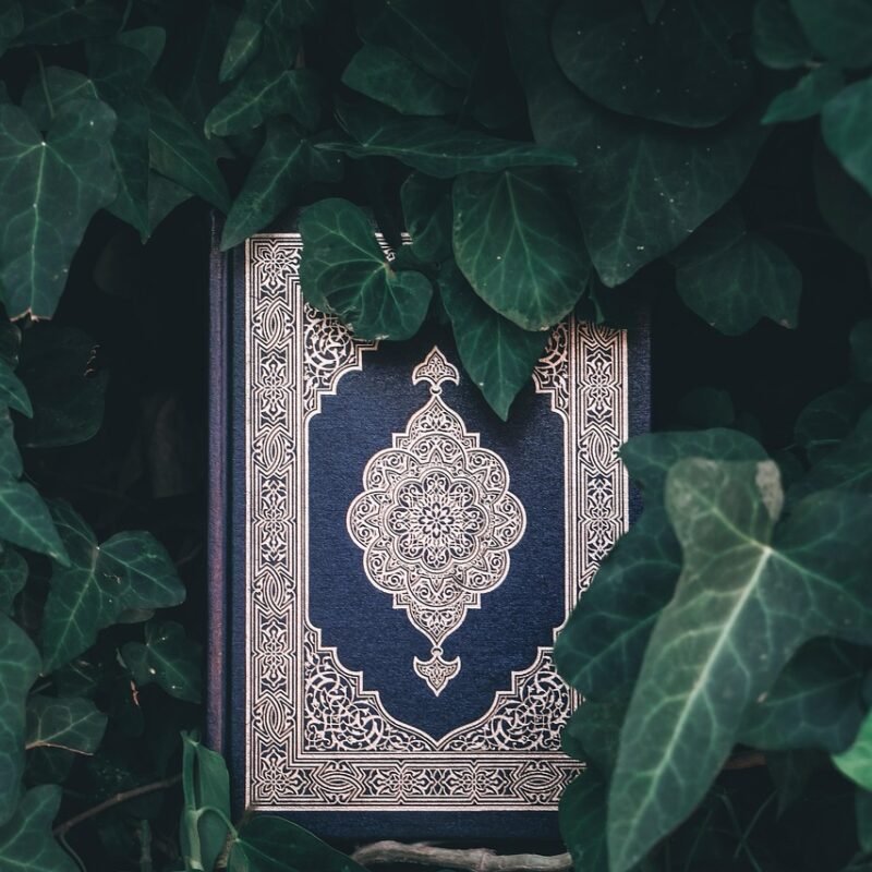 Imagen relacionada con Códigos Sagrados de Agesta: Guía Completa para Activarlos Correctamente