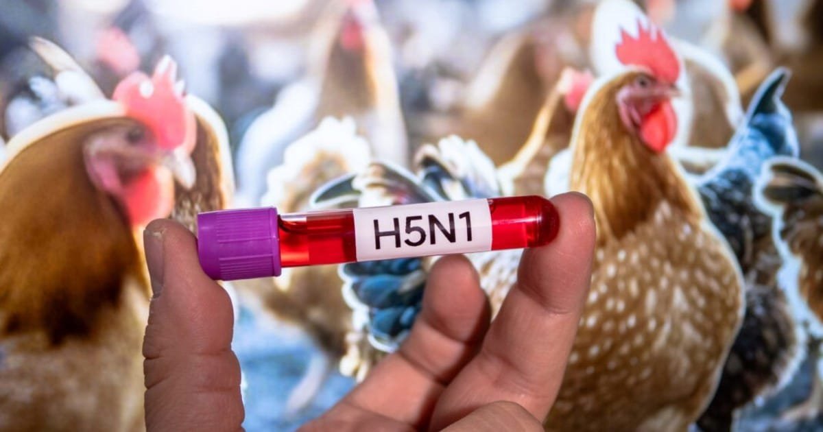 lGBki4Cg9 1200x630 1