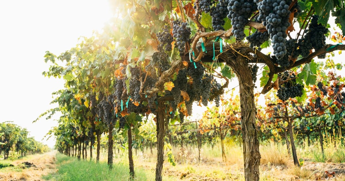 nhpGh16gv 1200x630 1