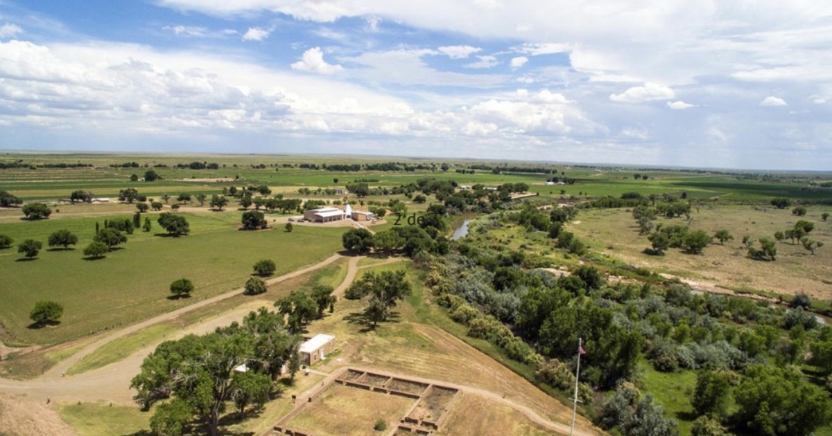 rnoZPEdWI 1200x630 1