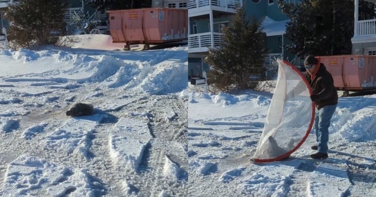 vDBV0HnYQ 1200x630 1